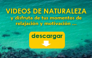 Descargar videos de Naturaleza - archivos en formato H264 MP4, y disfruta de momentos de relajación y motivación