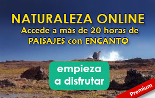 Accede a la sección Premium de videos de naturalleza online, más de 10 horas de videos de paisajes relajantes HD descubriendo lugares con encanto alrededor del mundo